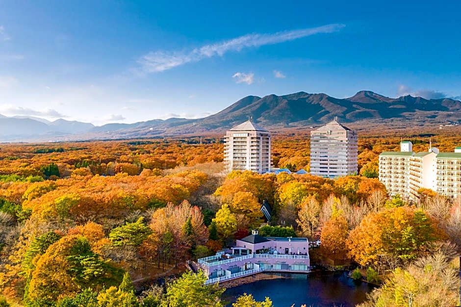 Hotel Epinard Nasu
