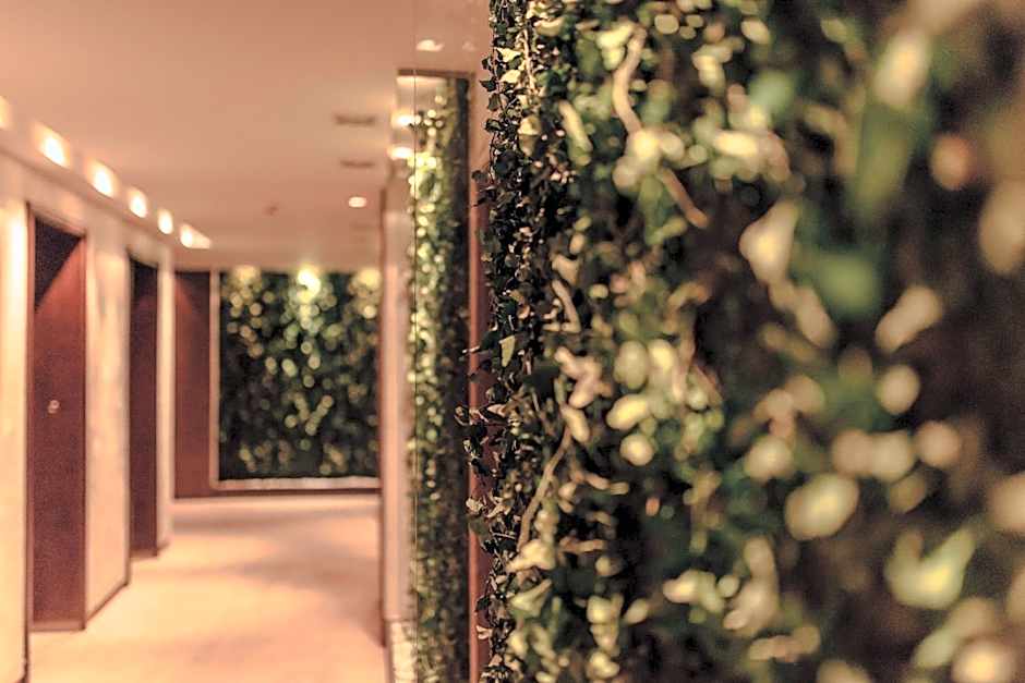 Graffit Gallery Design Hotel