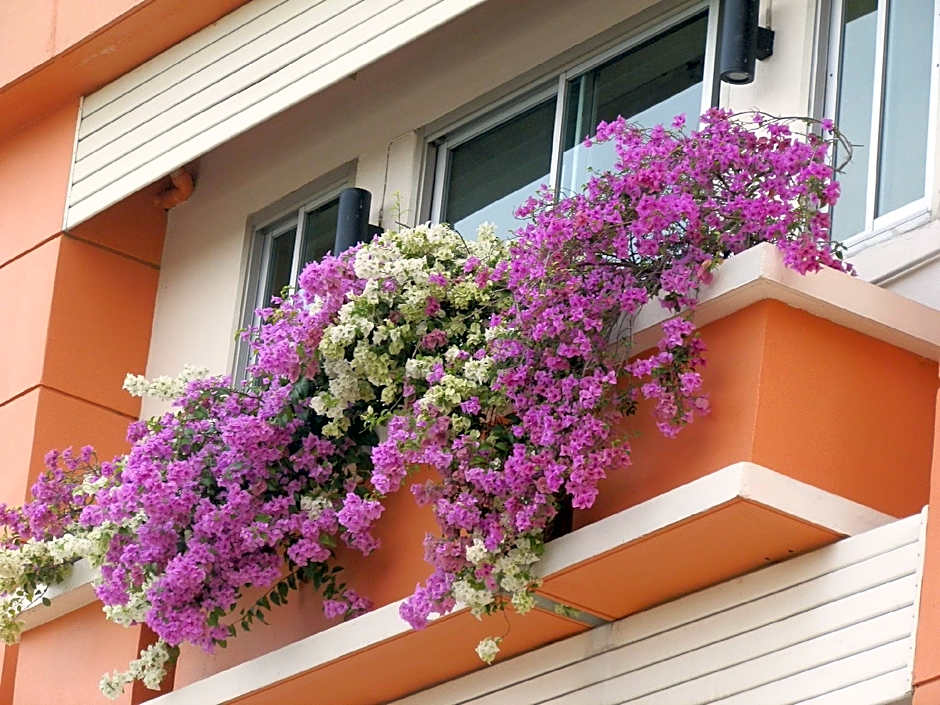 Sandy Serviced Apartment