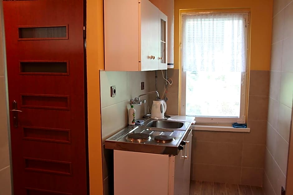 Hotel Zielony & OW Borowik & Pensjonat Manhattan - Centrum Rekreacji i Wypoczynku GASTROTUR