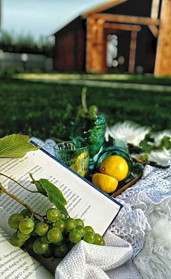 Kwitnące Jabłonie. Całoroczne Domki Wypoczynkowe