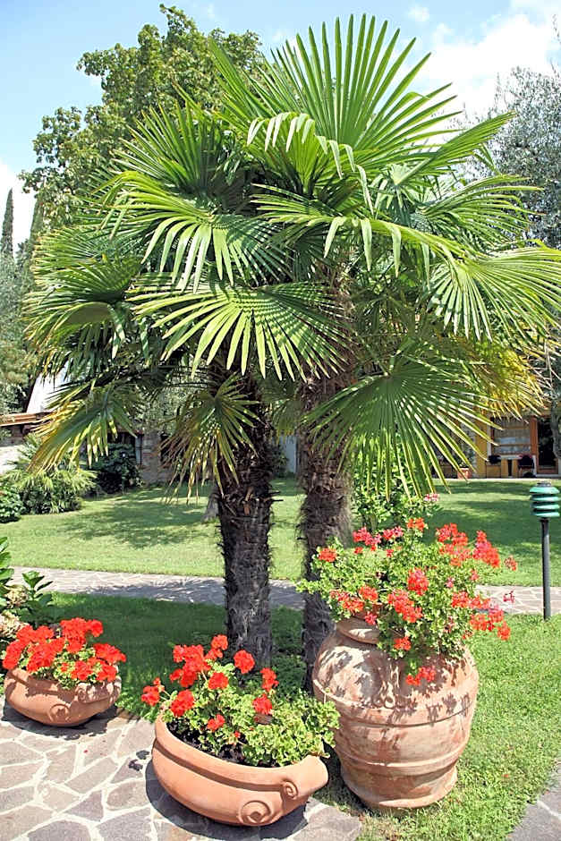 Hotel Sailing Center