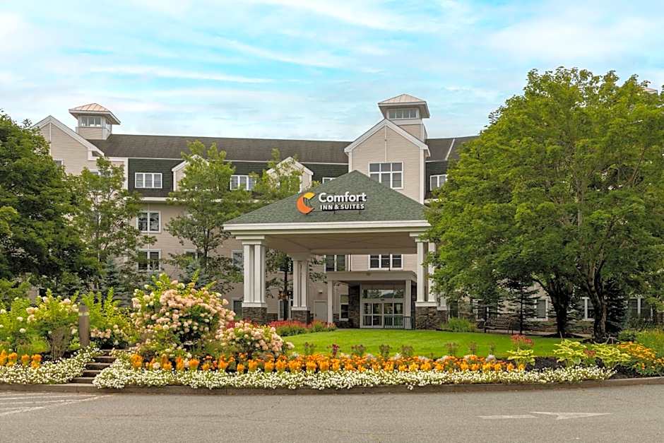 Comfort Inn & Suites Near Burke Mountain