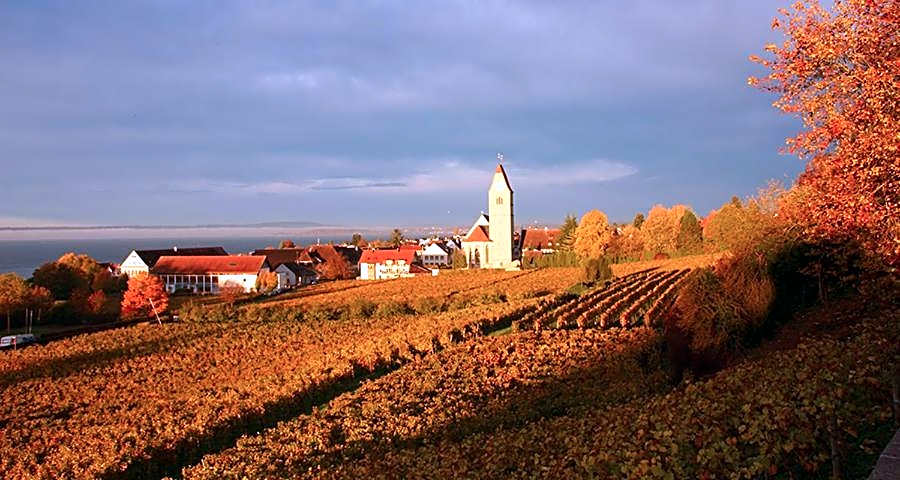 Ferienhof Berger UG