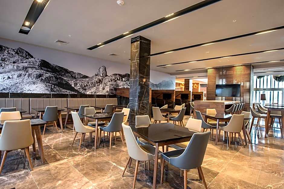 Courtyard by Marriott San Luis Potosi, Los Lagos