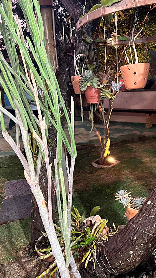 Pousada Casa redonda