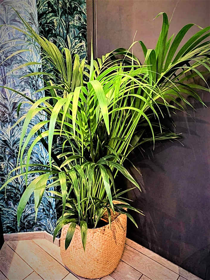 Hôtel Boutique Richelieu, Lyon Gare Part-Dieu