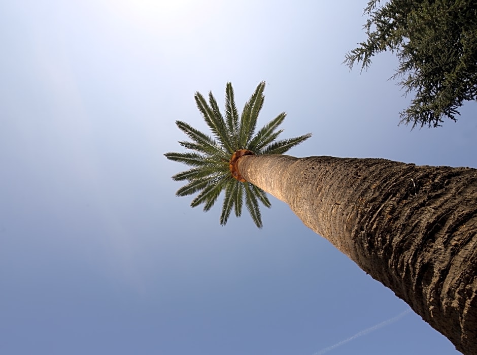 Villa delle Ciliegie