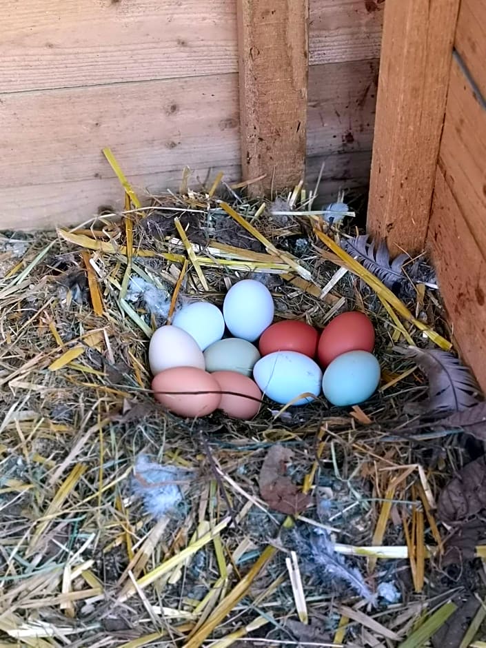 Ferienwohnung Schlögelhofer