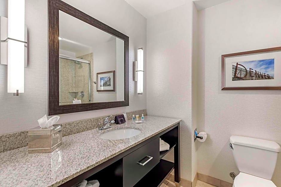 Comfort Inn & Suites Brighton Denver NE Medical Center