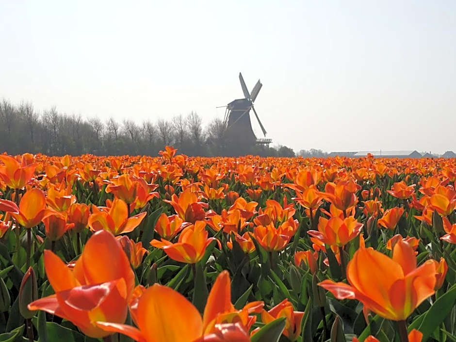 Fletcher Badhotel Callantsoog