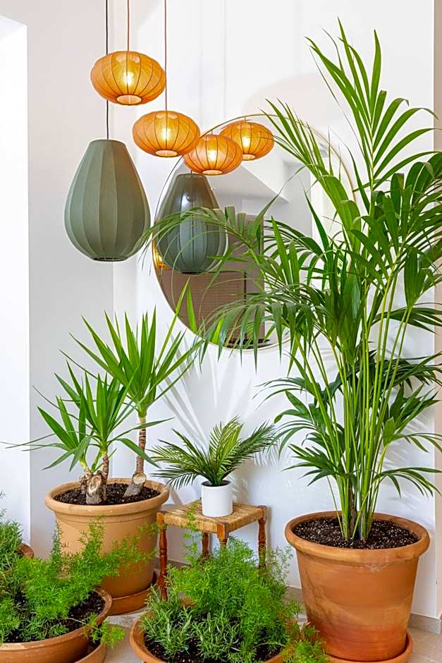 Sol Cala d´Or Apartamentos