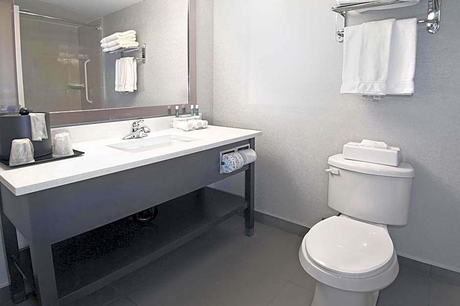 Holiday Inn Express Calgary By IHG