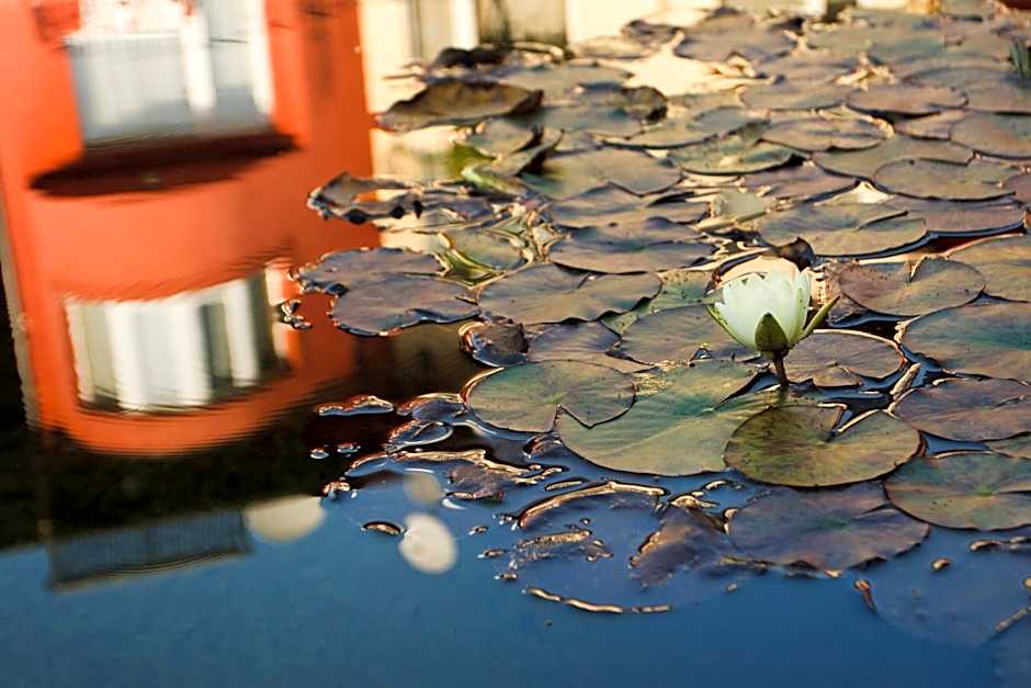 Szőnyi Garden Hotel Pest