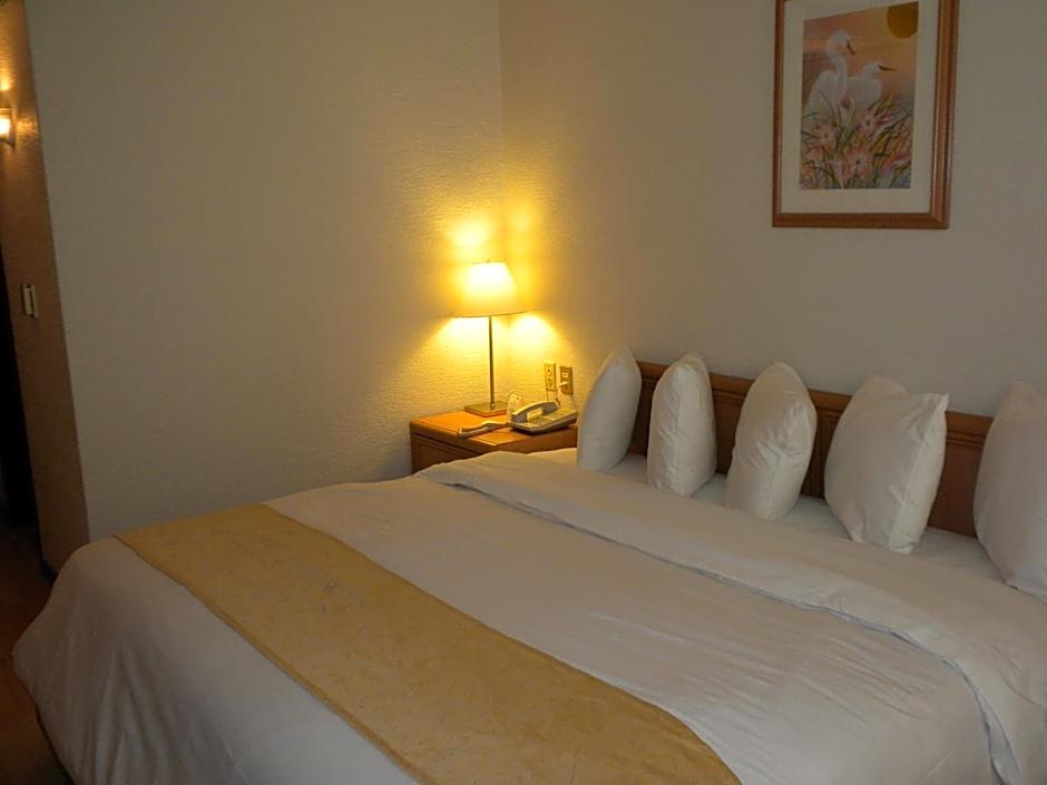 Hotel PF