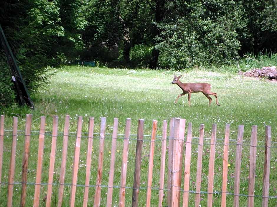 Le Brame - Chambres d&#x27;Hôtes
