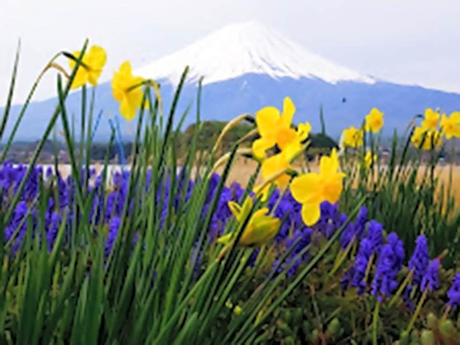 Shoji Mount Hotel - Vacation STAY 83000v