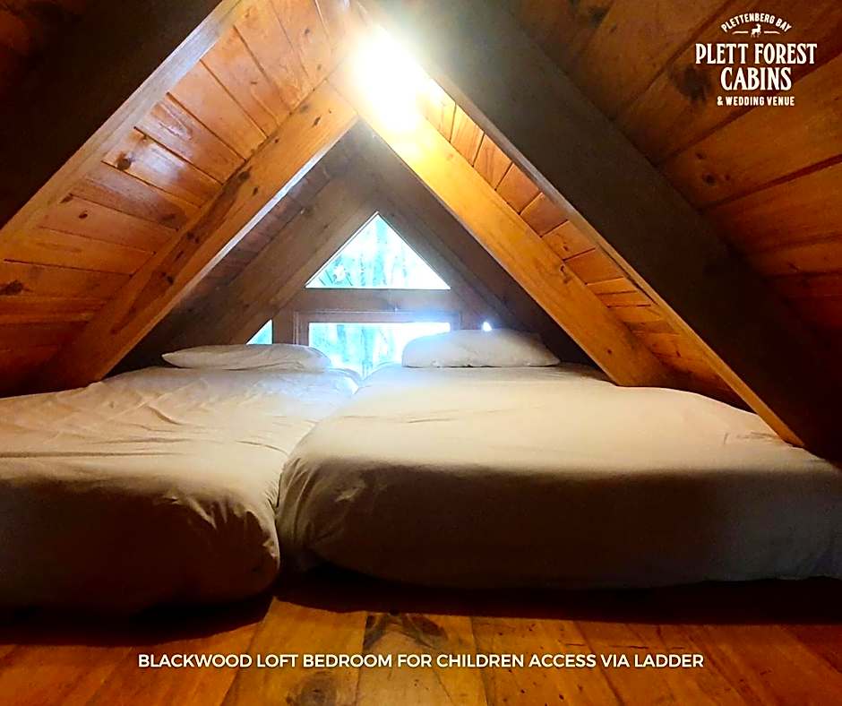 Plett Forest Cabins