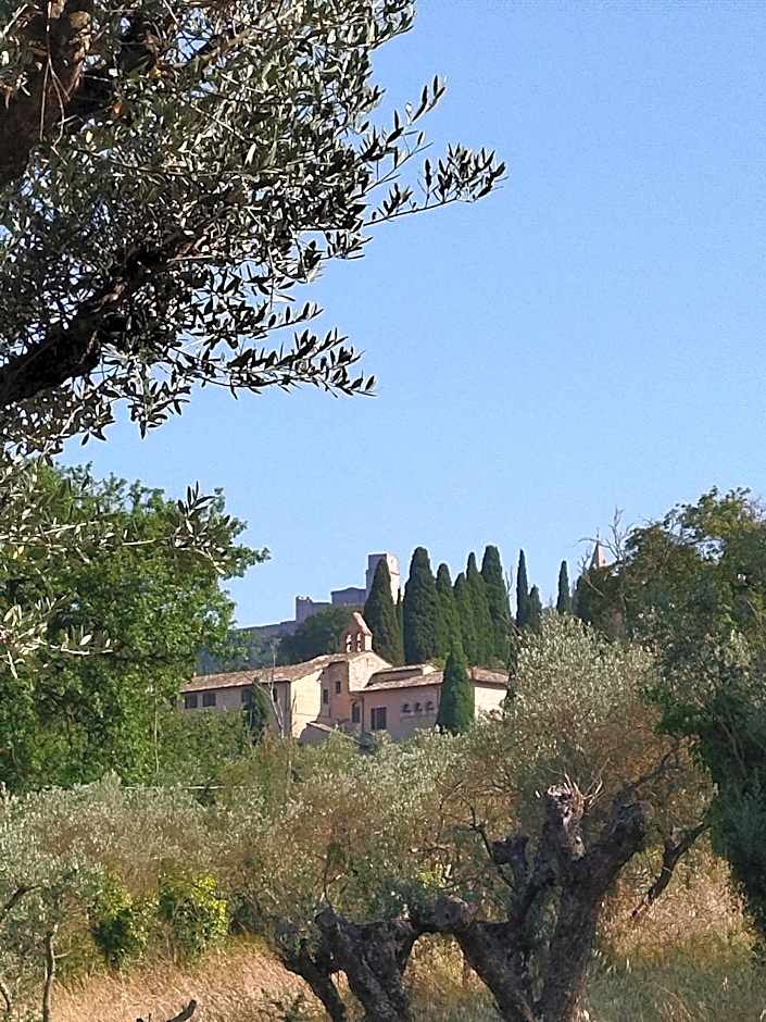 All'Ombra di San Damiano