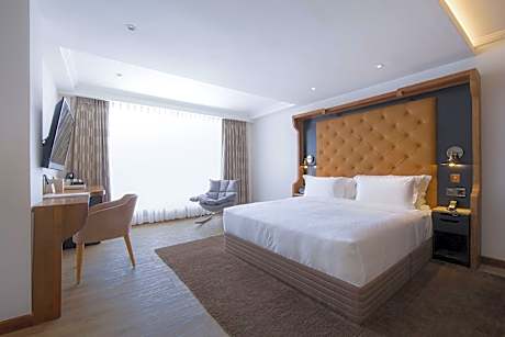 Premier King Room