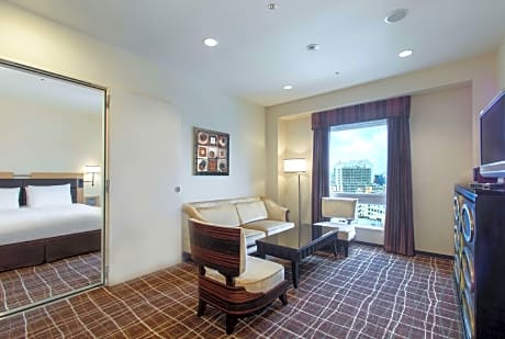 1 King Bed Suite