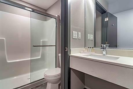 Efficiency King Suite with Sofa Bed - Non-Smoking