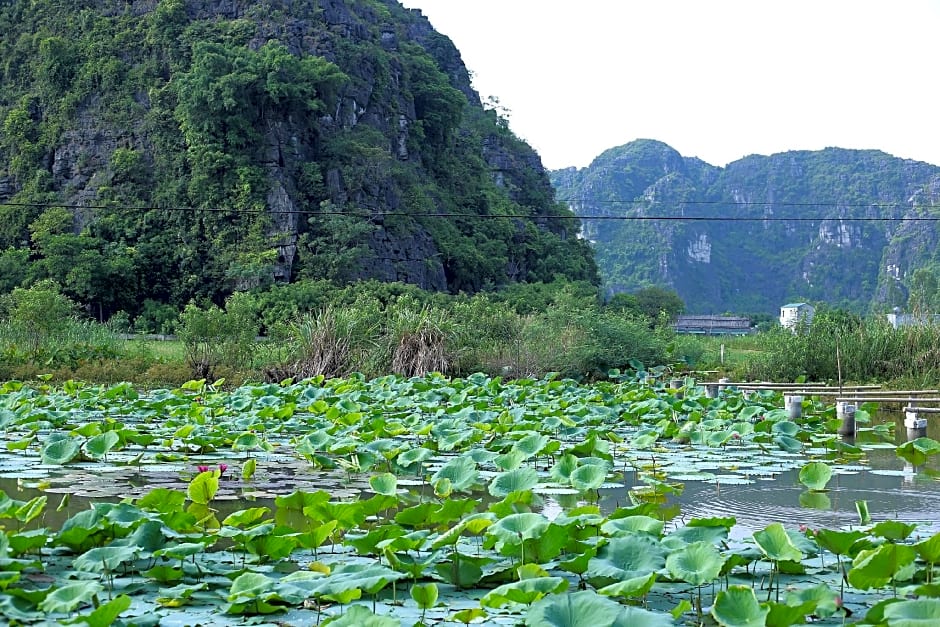 Trang An Lim Garden