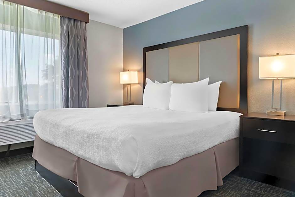 Best Western PLUS Flint Airport Inn & Suites