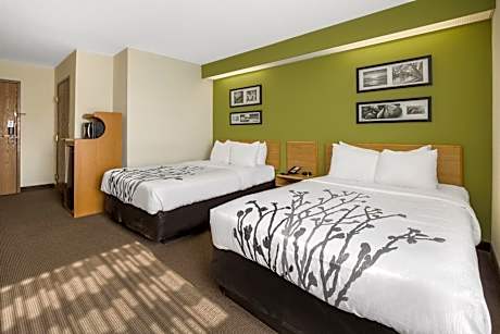 2 Double Beds, Nonsmoking, Accessible