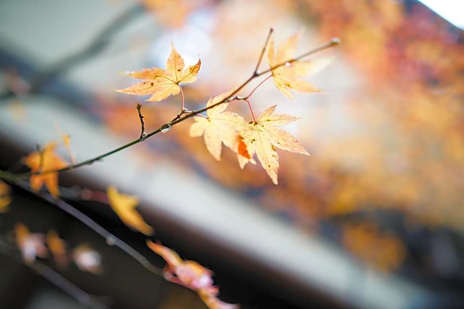 Ryokan Tori