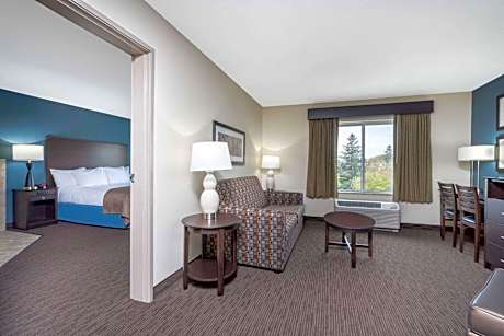 One-Bedroom Superior King Suite with Sofa Bed - Non-Smoking