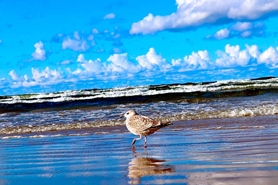 Pegasa Pils Spa Hotel