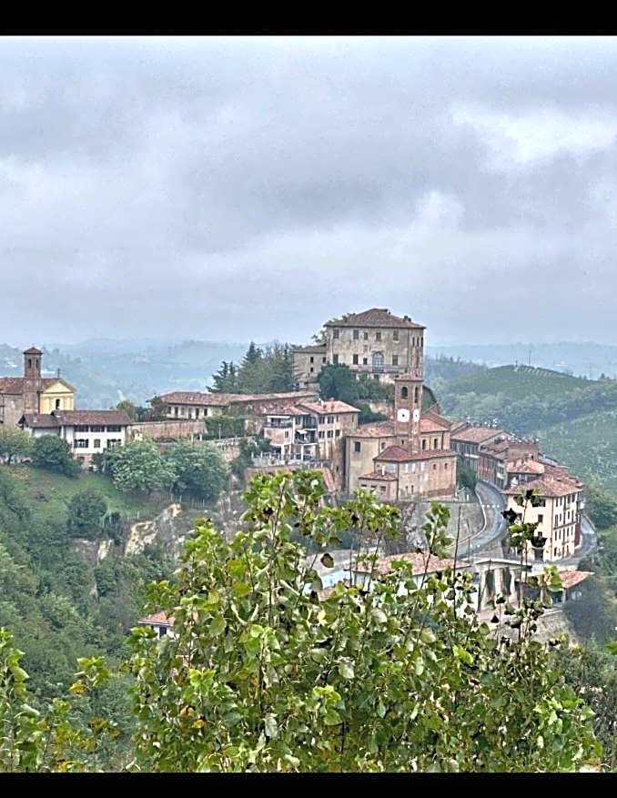 Il bosco delle torte