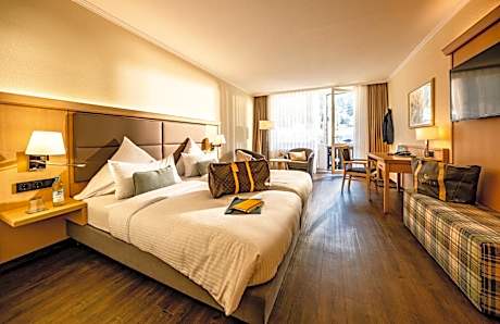 Double or Twin Room with Mountain View