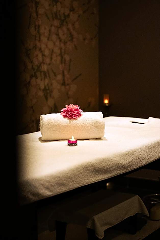 Logis Ax Hôtel Spa & Restaurant