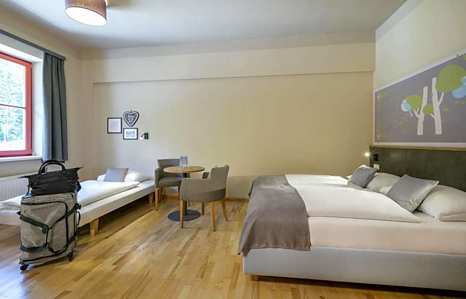 JUFA Hotel Mariazell