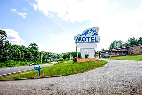BlueJay Motel - Salem - Roanoke I-81