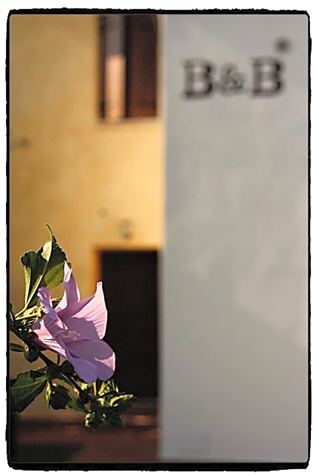 B&B Nascondino