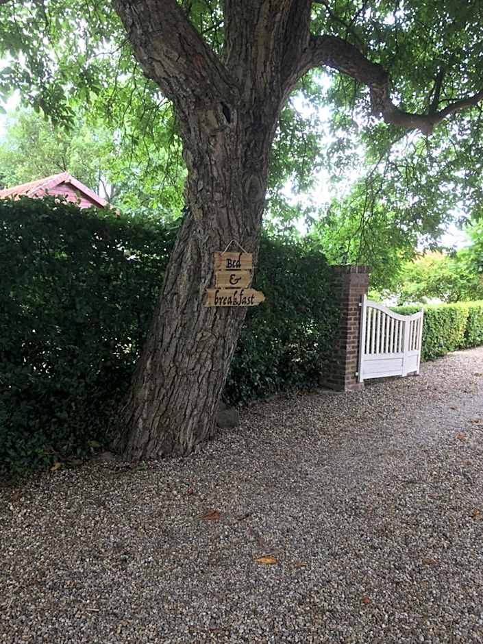 Zdjęcie 1 z 50 — B&B Ool Inclusive