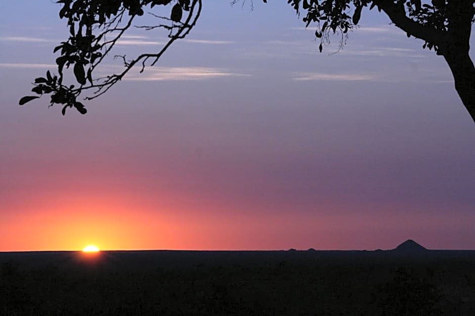 Tingala Lodge - Bed in the Bush