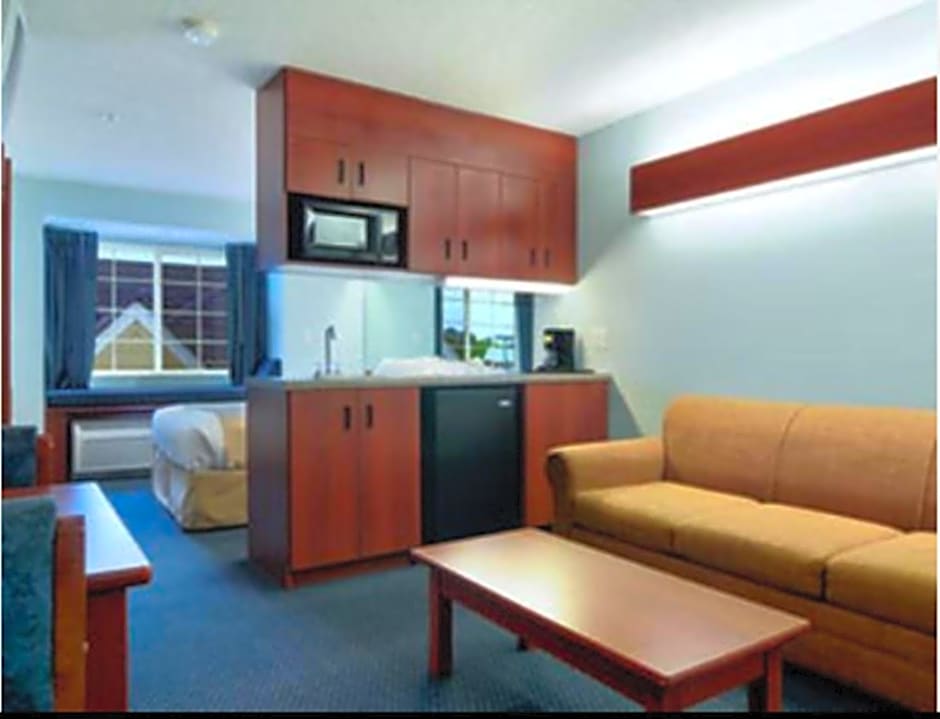 Microtel Inn & Suites By Wyndham Gardendale