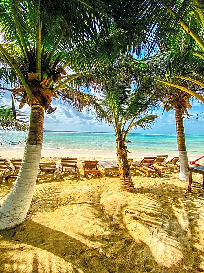 Eco Cabañas Bluekay