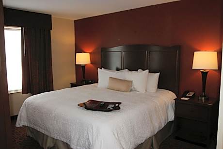 King Studio Suite - Non-Smoking