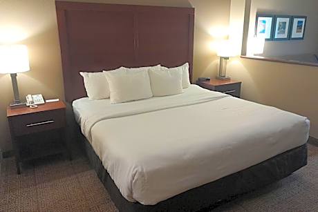 King Room - Disability Access/Non-Smoking