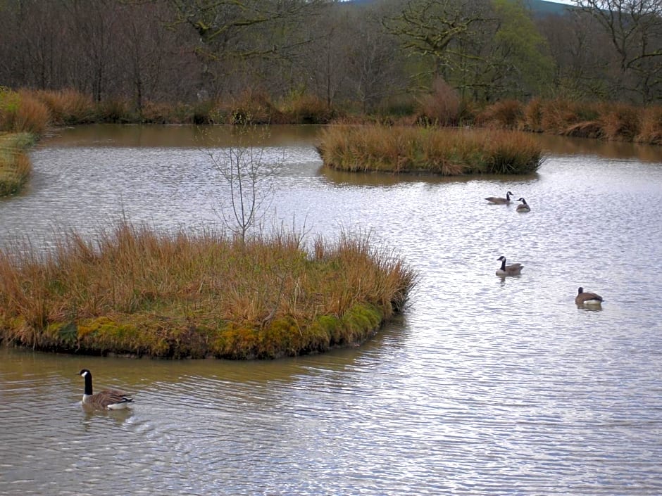 Five Saints Farmhouse B&B