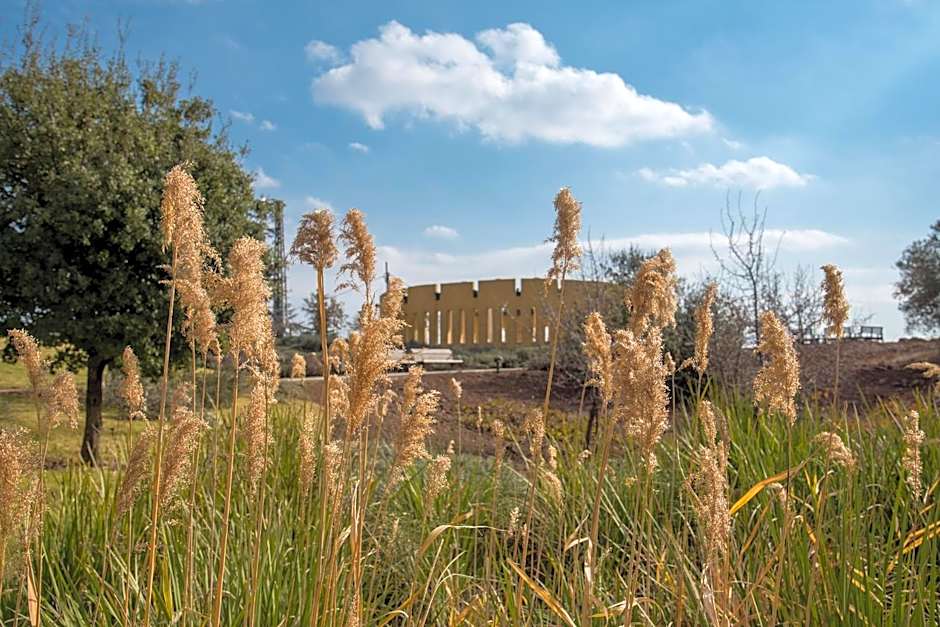 Aloney Habashan Guest village