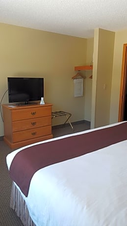 One-Bedroom King Suite
