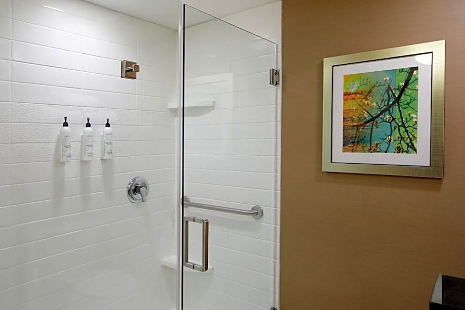 Fairfield Inn & Suites by Marriott Atlanta Lithia Springs