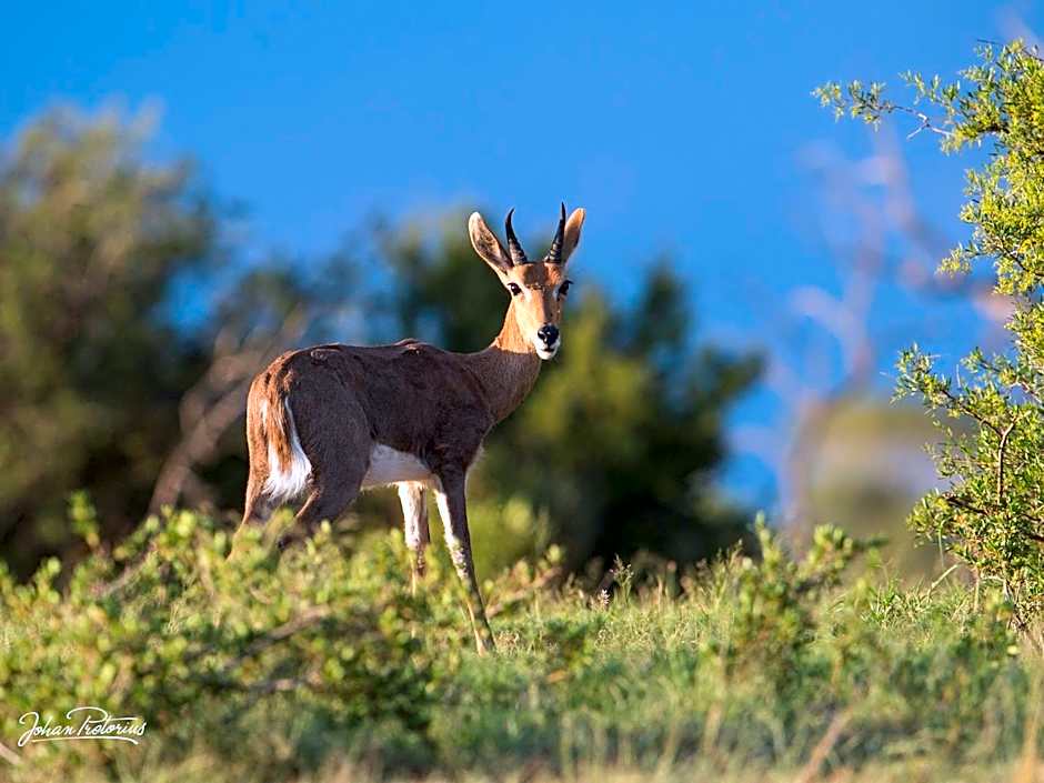 The Royal Fischer Hotel