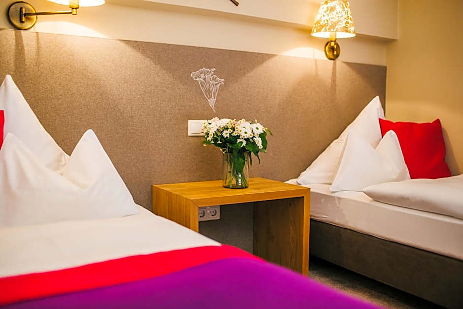 Hotel Dr Otto Murr B&B